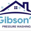 Pressure Washing & Soft Washing offer Home Services