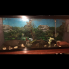 Fish Tank  offer Home and Furnitures
