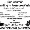 Painting & Pressure Washing offer Professional Services