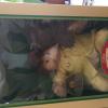 Extremely rare cabbage patch doll offer Items For Sale