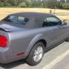 2006  MUSTANG. CONVERTIBLE  offer Vehicle