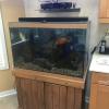 65 Gallon fish tank with stand and filter