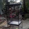 Bird Cage - large
