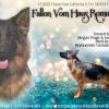 **World Class German Shepherd West German Bloodline **