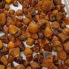 cattle's and Ox Gallstone's for sale offer Health and Beauty