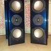 REVEL ULTIMA GEM loudspeakers! 