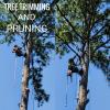 HOUSTON TREES AND FENCE SERVICE 