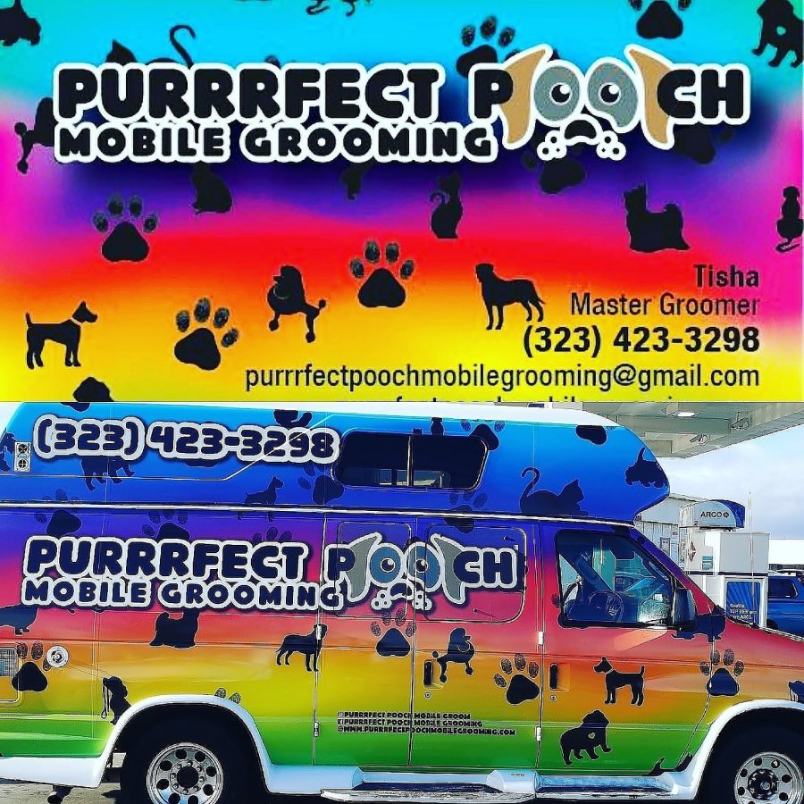 Purrrfect pooch mobile grooming Charlotte Classifieds 28092 Home