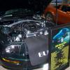 For Sale 2008 Mustang Bullitt for sale $35,000.00