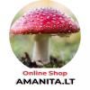 Amanita Muscaria | fly agaric | dried mushroom caps for sale! Delivery in 7 - 15 days!