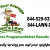 Not Your Average Dads Lawn and Landscaping Services 