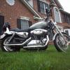 2004 Harley Davidson 1200 Sporster Custom 