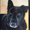 Linda’s pet portraits  offer Service