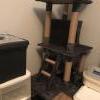 Kitten Tower offer Garage and Moving Sale