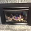 Gas Fireplace Insert