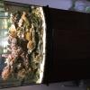 Reef Aquarium System - Complete