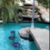 Swimming  pool service   offer Home Services