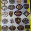 Los Angeles County-City old Municipal Fire Department badges wanted