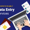 I will be your virtual assistant for copy paste data entry