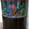 Aquarium  offer Home and Furnitures