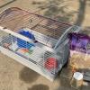 Guinea pig cage offer Home and Furnitures