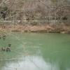 River lot for sale in TN