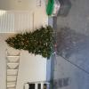 Pre-lit 7.5' Christmas tree-used only 4 years
