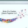 Birds Of A Feather Cleans Together LLC 
