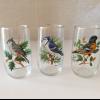 Bird Lover’s Pitcher and Glasses