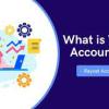 Virtual Accounting Services – Hire now! offer Financial Services