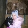 3 pygmy/dwarf goats offer Kid Stuffs