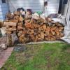 White Maple Fur and some White Birch offer Lawn and Garden