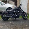 Harley Davidson Iron 883 2019