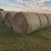 5x5 round bales of hay for sale 