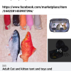 Cat Toys , Litter and Litter box with scoop offer Items For Sale