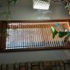 Blinds for 2' X 5' casement windows offer Home and Furnitures