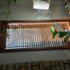 Blinds for 2' X 5' casement windows