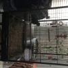Brand new parrot cage