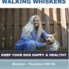 Dog Walking  offer Service