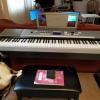 Jamaha DGX 530 Portable Grand Electric Piano offer Musical Instrument