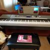 Jamaha DGX 530 Portable Grand Electric Piano