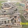 Firewood for Sale Willing Make Bulk Purchase Deal   Larger The Quantity  Larger The Discount   