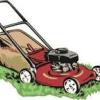 Grass Cutting  offer Home Services