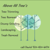 Tree/Landscaping  offer Cleaning Services