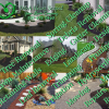 Landscaping  offer Professional Services