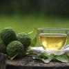 Wholesale of Bergamot from the manufacturer at optimal prices