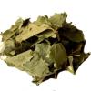 Wholesale of Birch leaves from the manufacturer at optimal prices offer Health and Beauty