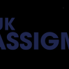 UK Assignment Service offer Professional Services