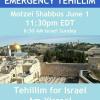 Tehillim for Israel  offer Classes